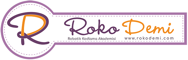 rokodemi logo